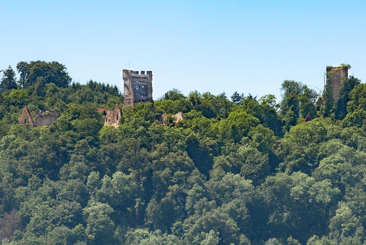 Burg